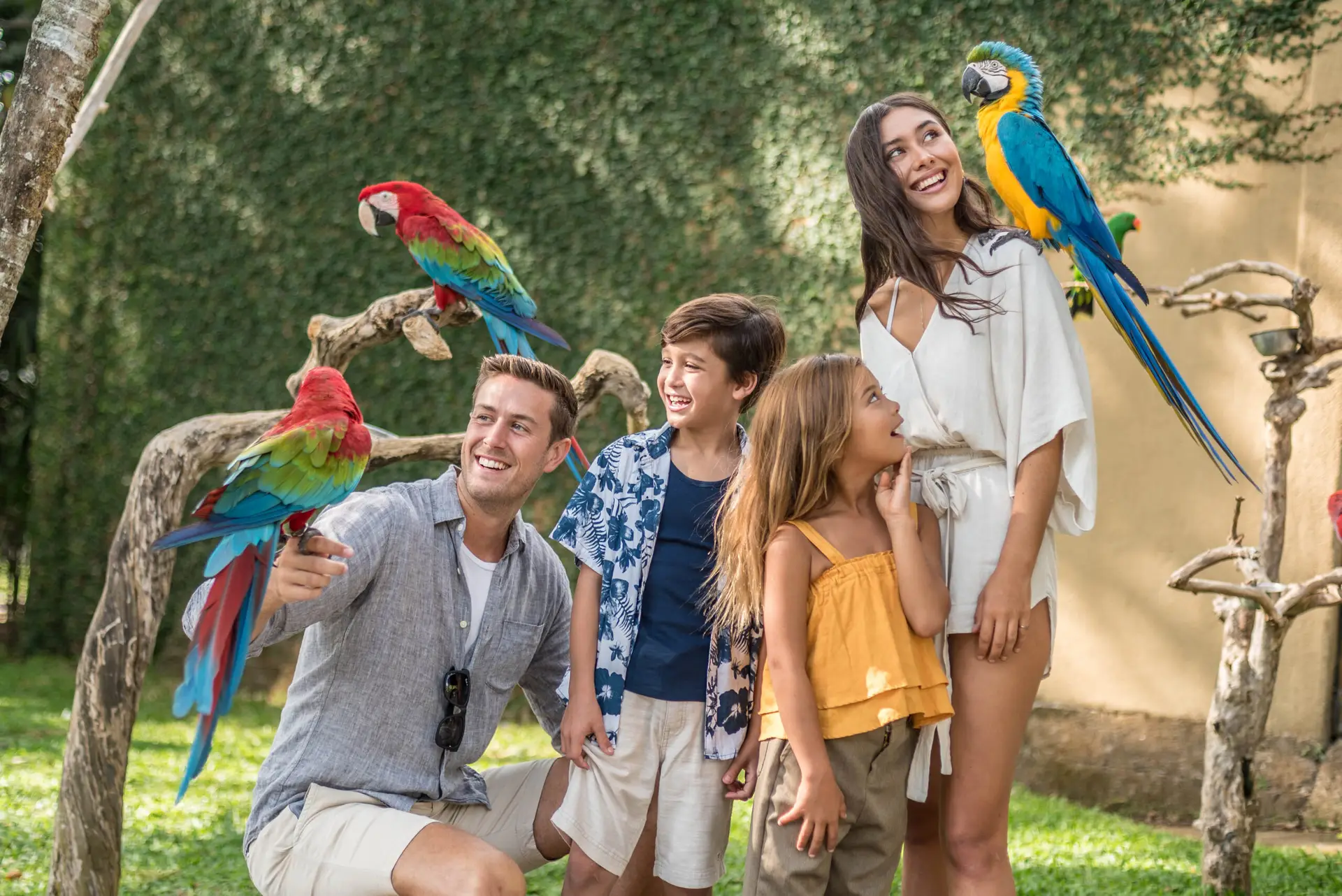 Bali Bird Park